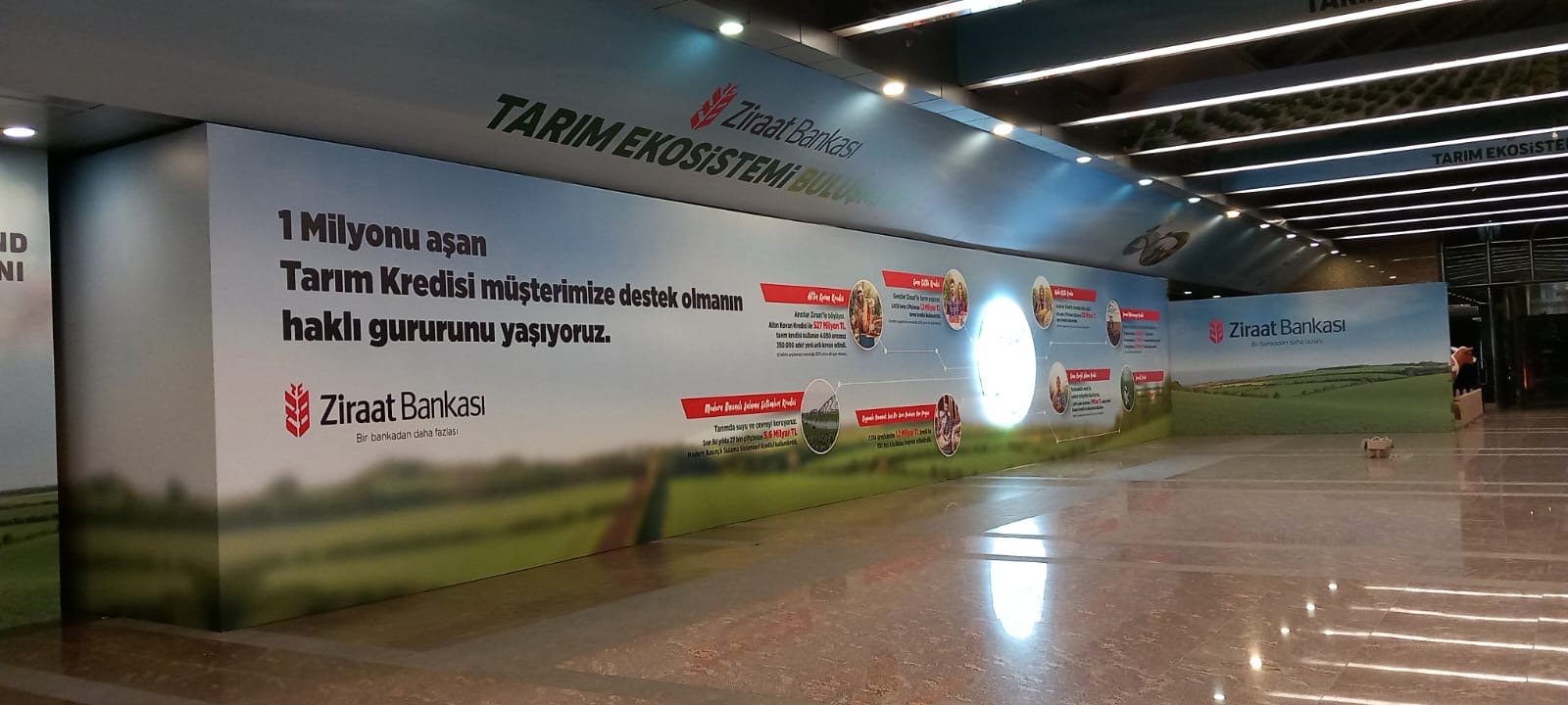 219a1563-0766-4cf9-a7e9-a0261b2f3a33